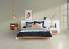 Picture of American Olean - Neospeck 12 x 24 White MT
