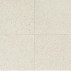 Picture of American Olean - Neospeck 24 x 24 Polished White