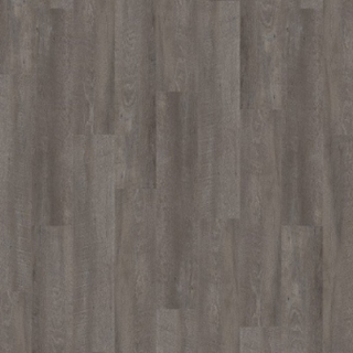 Picture of Palmetto Road - Journey Compass