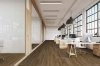 Picture of Hartco - Dry Back LVT 7 x 48 Predictable Brown