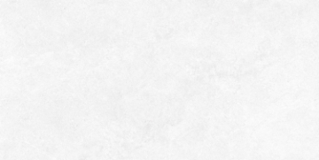 Picture of Ecoceramic - Babilon 24 x 48 Polished Artic