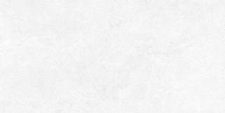 Picture of Ecoceramic - Babilon 24 x 48 Paver Artic