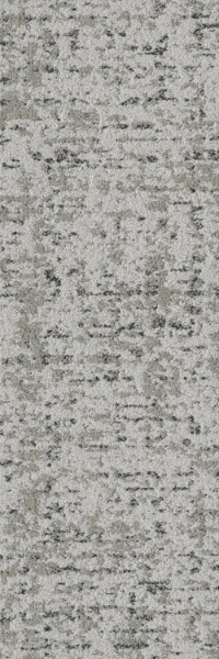 Picture of Mohawk - Concrete Bloom Birdsong Light