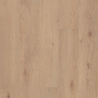 Picture of Shaw Floors - Homestead Occasional Beige