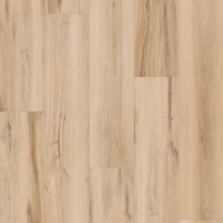 Picture of Shaw Floors - Homestead Butterfly White