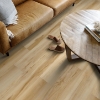 Picture of Shaw Floors - Homestead Butterfly White