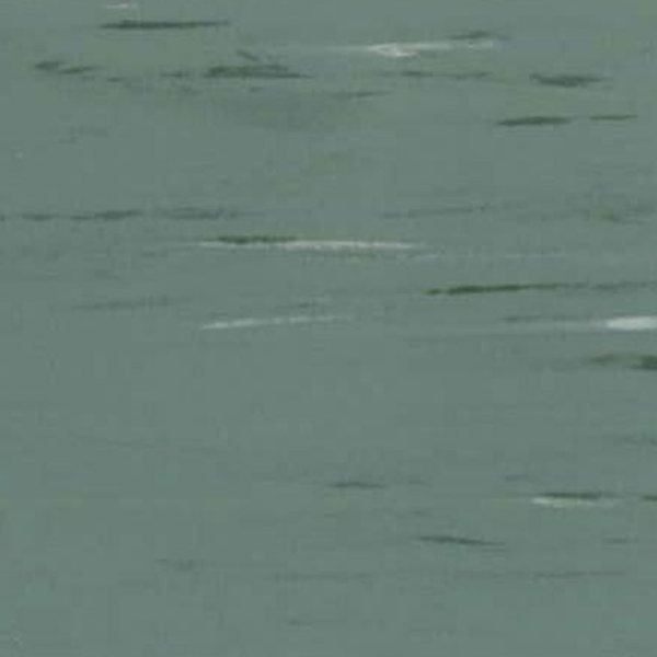 Picture of Rikett - RQT Classic 24 x 24 Sage