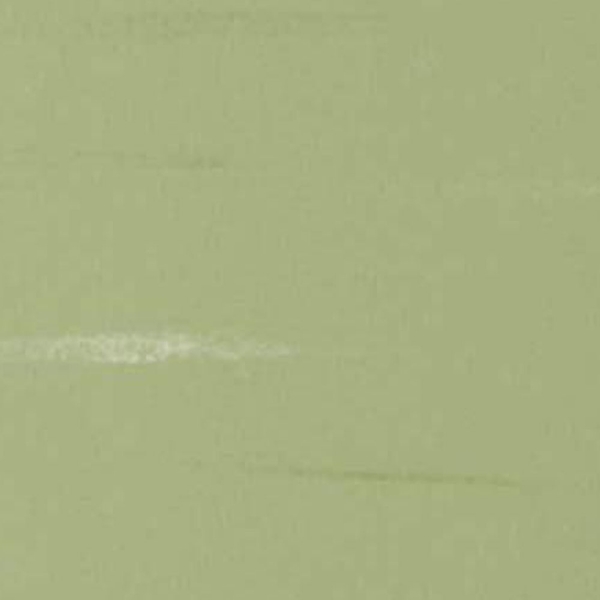 Picture of Rikett - RQT Classic 12 x 24 Avacado