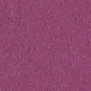 Picture of Tarkett - Melodia 12 x 24 Fuschia