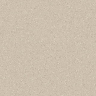 Picture of Tarkett - Melodia 12 x 24 Sand Dollar