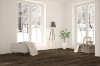 Picture of InHaus - Visions Gunstock Oak
