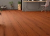 Picture of SFI Floors - Encore Bryce Canyon