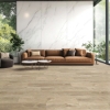 Picture of TrueTouch - Momentum Stucco
