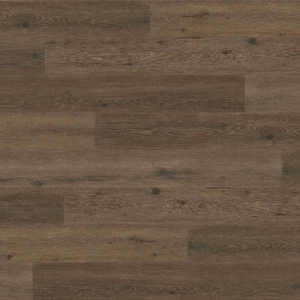 Picture of TrueTouch - Evolv Woodlands