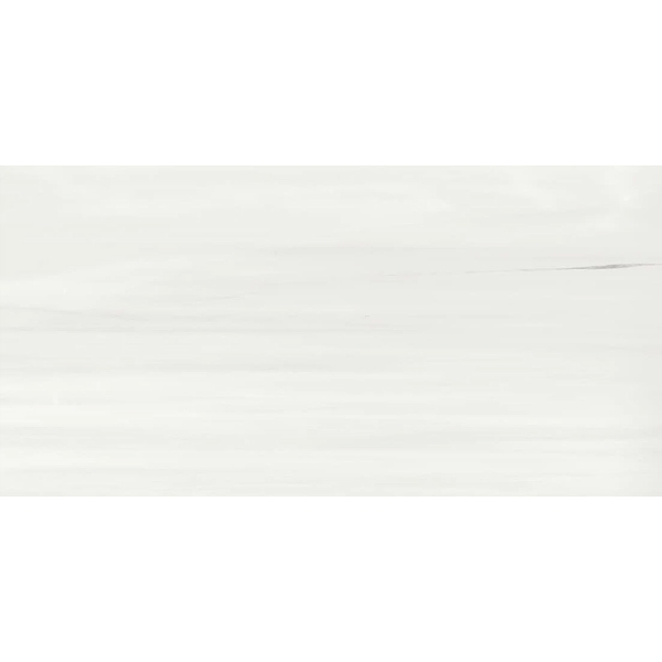Picture of Atlas Concorde - Beyond Dolomite 24 x 48 Matte Cool White