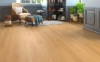Picture of InHaus - Ecolam Saguaro