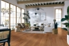 Picture of Robbins - Seaboard Cocoa