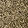 Picture of SFI Floors - Synergy Grayish