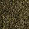 Picture of SFI Floors - Synergy Verdant