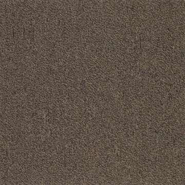 Picture of SFI Floors - Capital Macaw