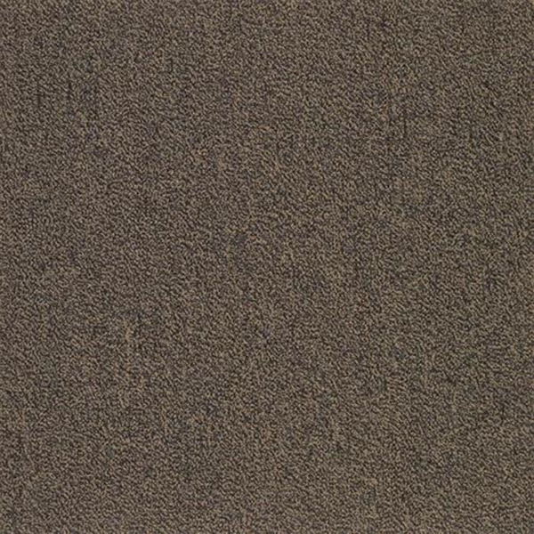 Picture of SFI Floors - Capital Macaw