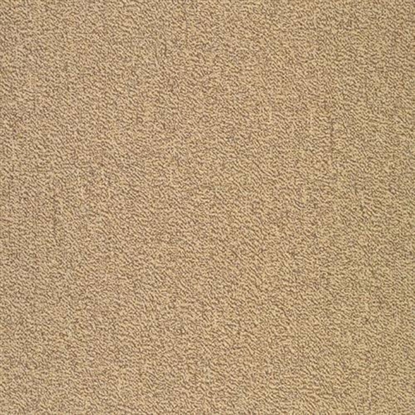 Picture of SFI Floors - Capital Swan Song