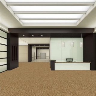 Picture of SFI Floors - Power Golden Rule