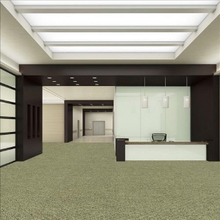 Picture of SFI Floors - Power Ivy League