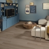 Picture of Shaw Floors - Ambition Mushroom
