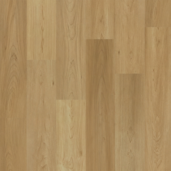 Picture of Engineered Floors - PureGrain Renew Empower Charlotte