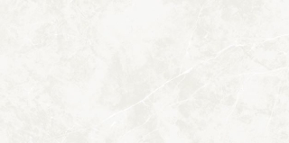 Picture of Ecoceramic - Puccini 24 x 48 Blanco Polished