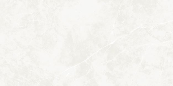 Picture of Ecoceramic - Puccini 30 x 60 Blanco Polished