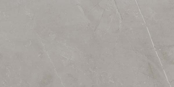 Picture of Ecoceramic - Slabs 24 x 48 Matte Gris