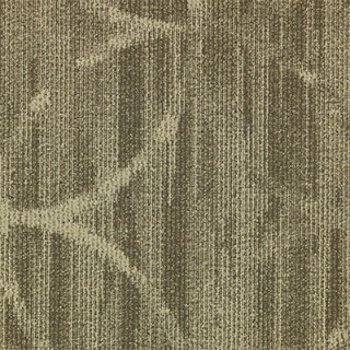 Picture of Mannington - Circ Oat Straw