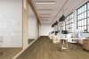 Picture of Hartco - Dry Back LVT 7 x 48 Warm Feelings