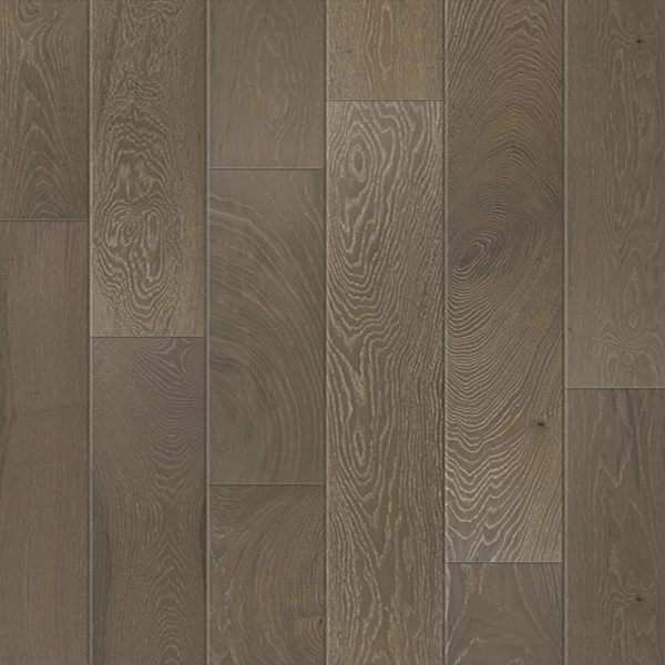 Picture of Johnson - British Isles Devon