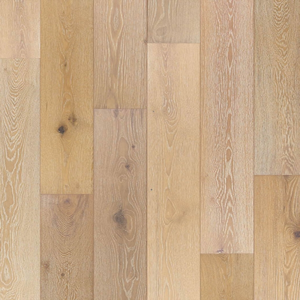 Picture of Johnson - British Isles Swansea