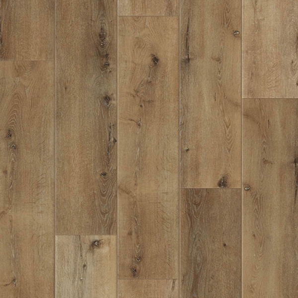 Picture of Johnson - Skyview Lightning