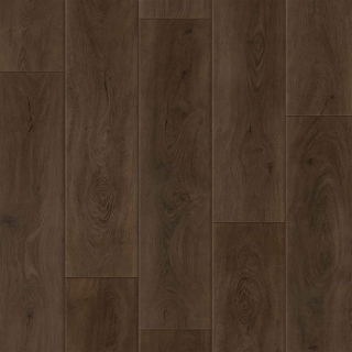 Picture of Johnson - Skyview Meteor