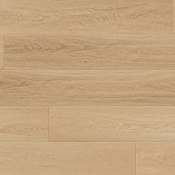 Picture of Johnson - Cellar House Barbera