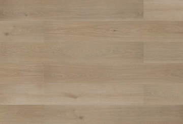 Picture of Silent Blue - Blue Armor Petrified Oak