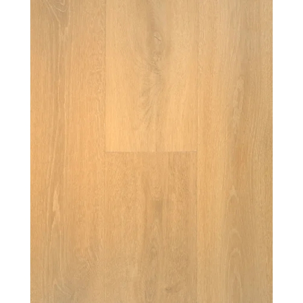 Picture of Stanton - Adirondacks Wheat