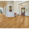 Picture of Stanton - Hudson Rattan