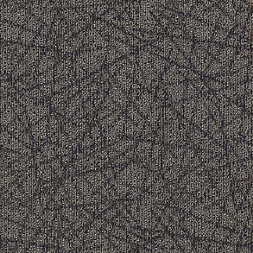 Picture of Aladdin Commercial - Brilliantly Amazed Most Remarkable