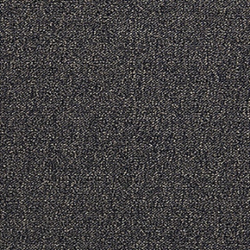 Picture of Aladdin Commercial - Scholarship II Bark