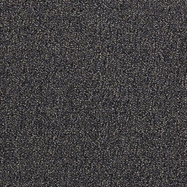 Picture of Aladdin Commercial - Scholarship II Bark