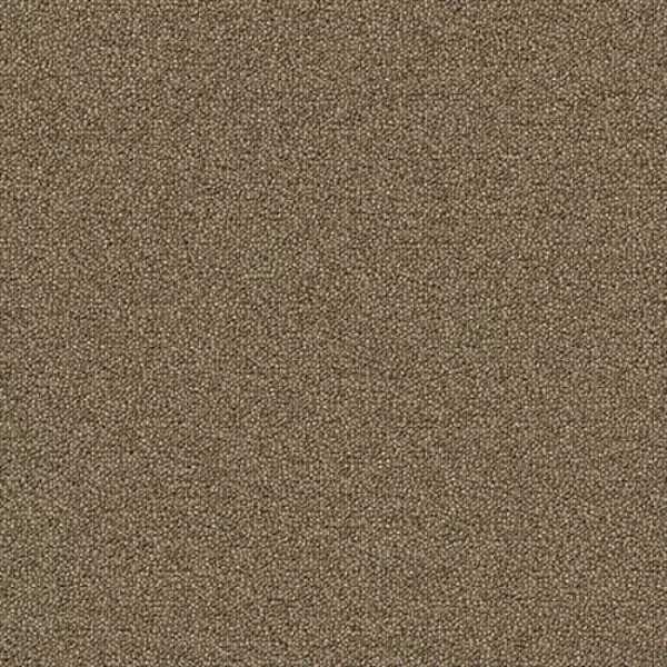 Picture of Aladdin Commercial - Scholarship II Sienna