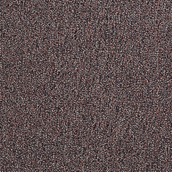 Picture of Aladdin Commercial - Scholarship II Tomato