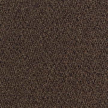 Picture of Aladdin Commercial - Walk The Walk Walnut