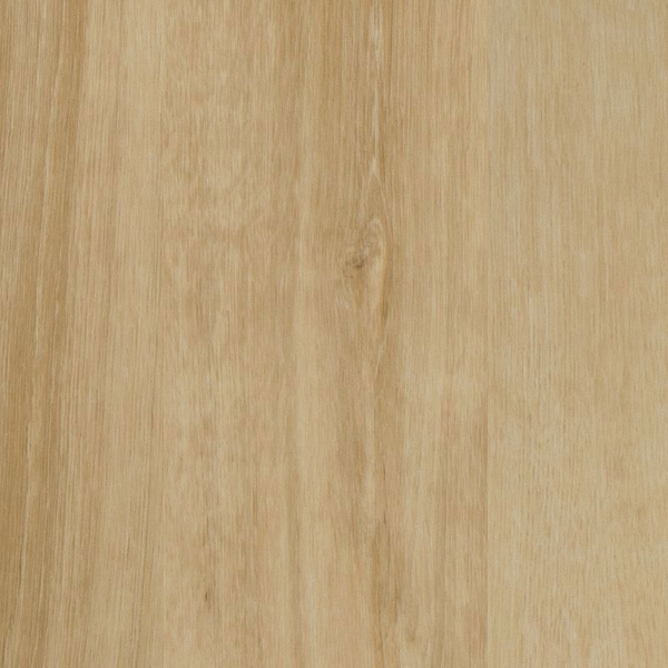 Picture of Aladdin Commercial - Parish Clay